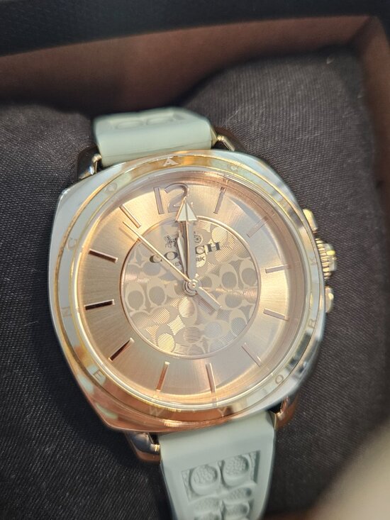 Ladies Boyfriend Coach Watch ⌚️ main image 10